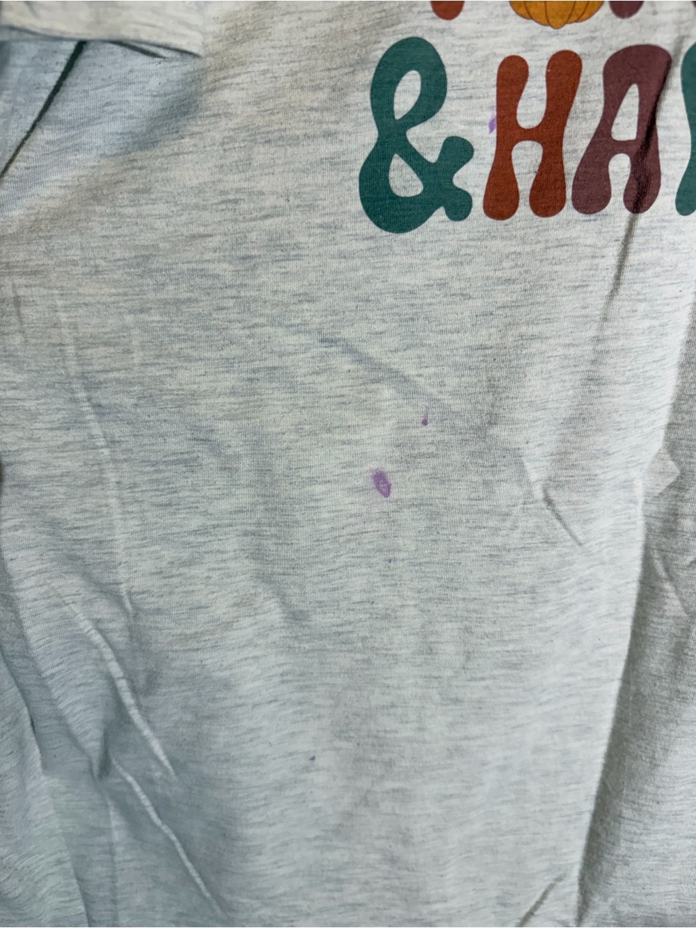 “Bonfires, Hot Cocoa, Pumpkins & Hayrides” Graphic T-Shirt - 3XL - Picture 5 of 9